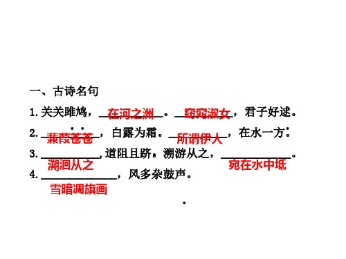 中考语文总复习：9年级下册(2)诗文名句ppt课件