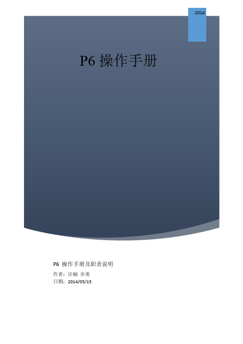 P6 操作手册