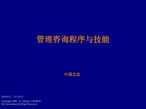 管理咨询程序与技能(德勤)