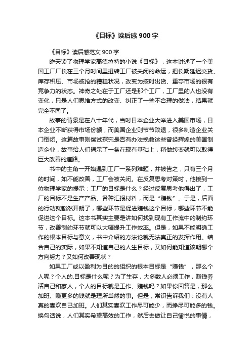 《目标》读后感900字