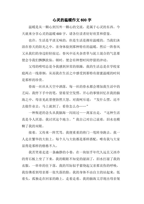 心灵的温暖作文600字