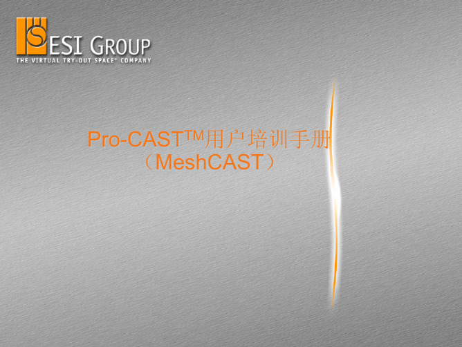 MeshCAST-ProCAST用户培训手册