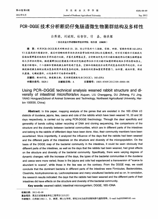 PCR-DGGE技术分析断奶仔兔肠道微生物菌群结构及多样性