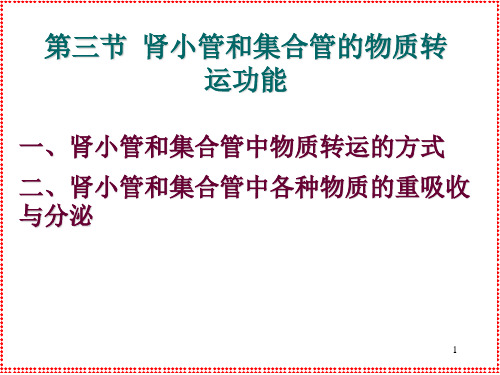 生理学：第三节 肾小管和集合管的物质转运功能