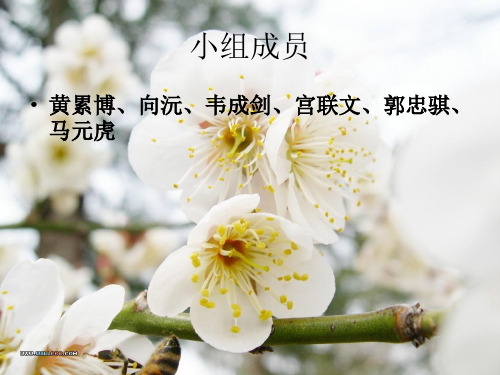 大和民族