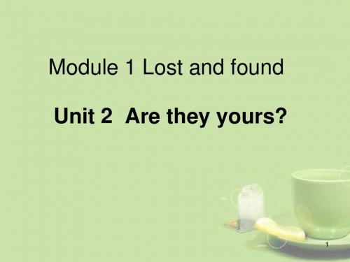 七年级英语下册 Module 1 Unit 2 Are they yours课件( 新版) 外研版