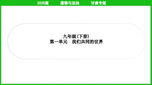 2025年道德与法治中考总复习第二部分考点培优九年级下册第一单元我们共同的世界