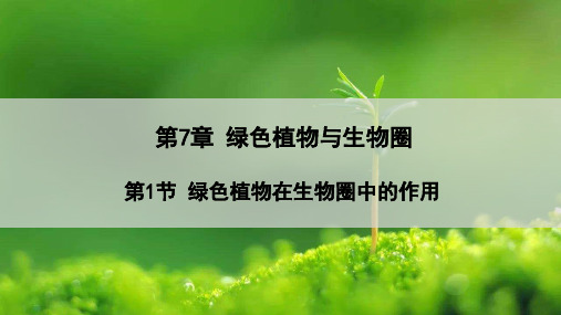 《绿色植物在生物圈中的作用》PPT课件【优质】