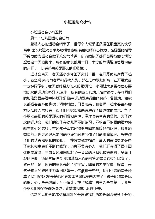 小班运动会小结