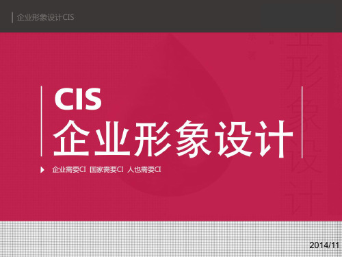 CI课件.ppt