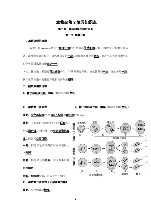 高中生物必修二知识点总结(精华版)