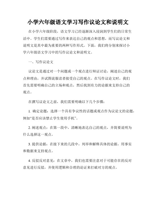 小学六年级语文学习写作议论文和说明文