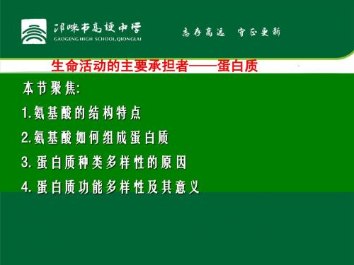 髙埂中学生物复习课件——生命活动的主要承担者--蛋白质