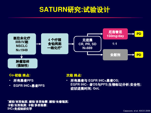 SATURN研究