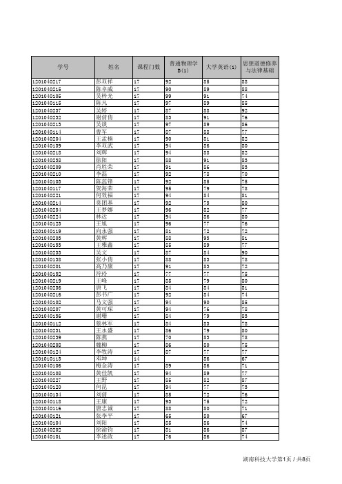 湖南科技大学 专业成绩表  [2012]工业工程