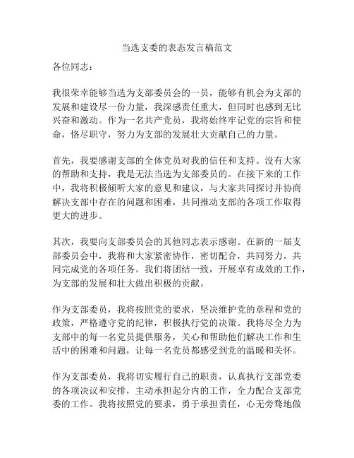 当选支委的表态发言稿范文