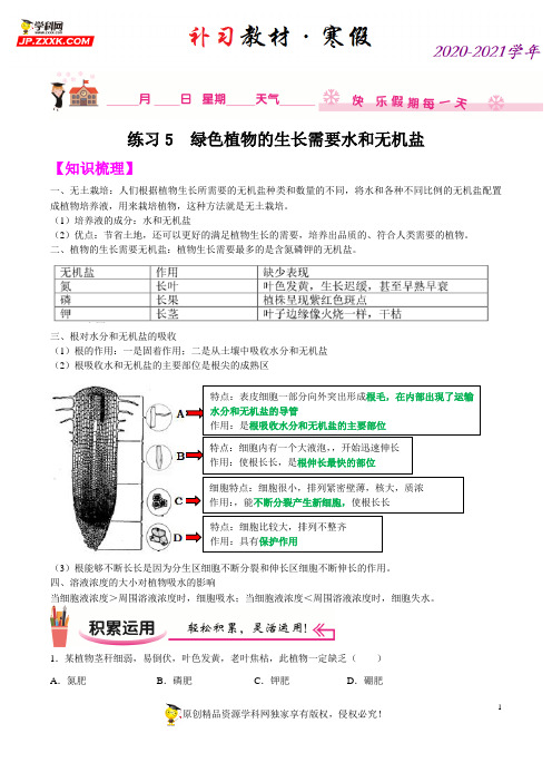 中考生物会考系列练习 绿色植物的生长需要水和无机盐-七年级生物(苏科版)(原卷版)