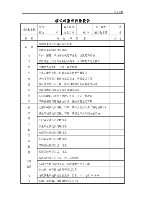 塔吊自检报告表格.doc