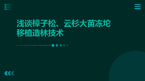 浅谈樟子松、云杉大苗冻坨移植造林技术