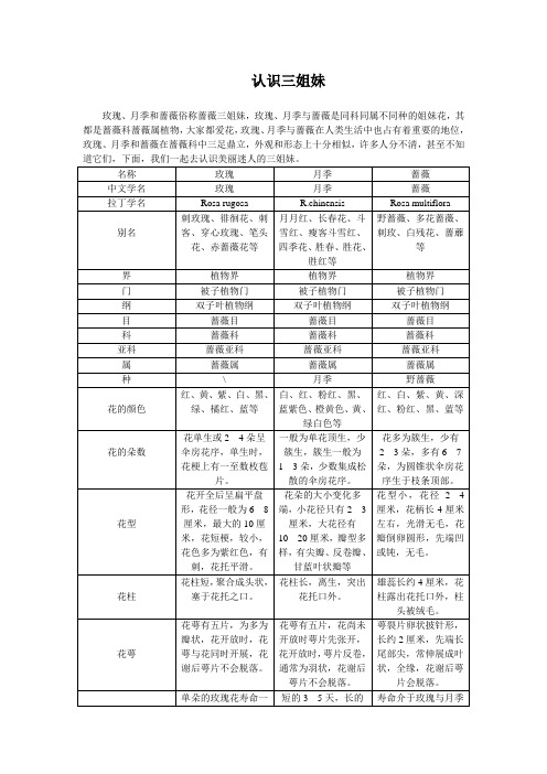 玫瑰、蔷薇、月季的区别