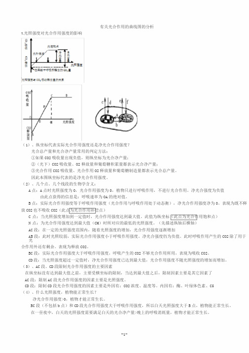 光合作用曲线图分析大全