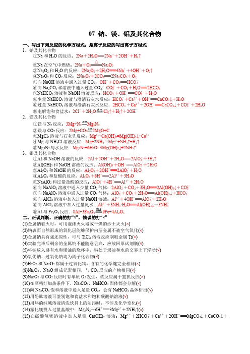 07 钠、镁、铝及其化合物-2022年高考化学回归课本巩固练习