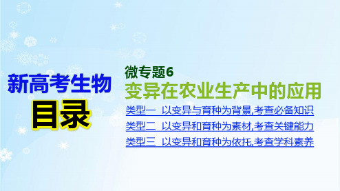 高考生物二轮复习微专题6 变异在农业生产中的应用