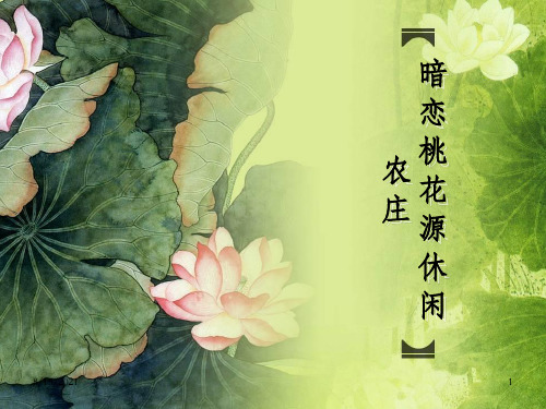 休闲农庄暗恋桃花源规划_OK