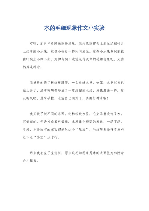 水的毛细现象作文小实验