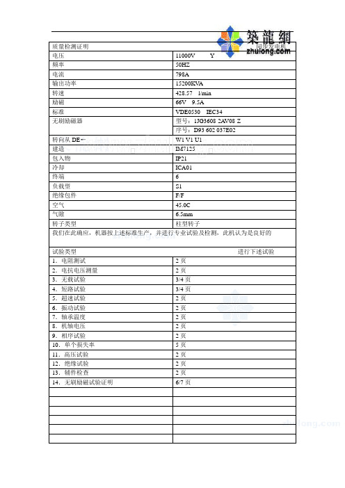 发电机调试报告