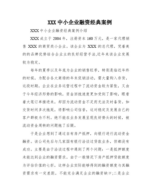 XXX中小企业融资经典案例