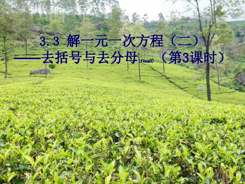 七年级数学上册 3.3.2 去分母课件