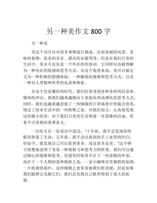 另一种美作文800字