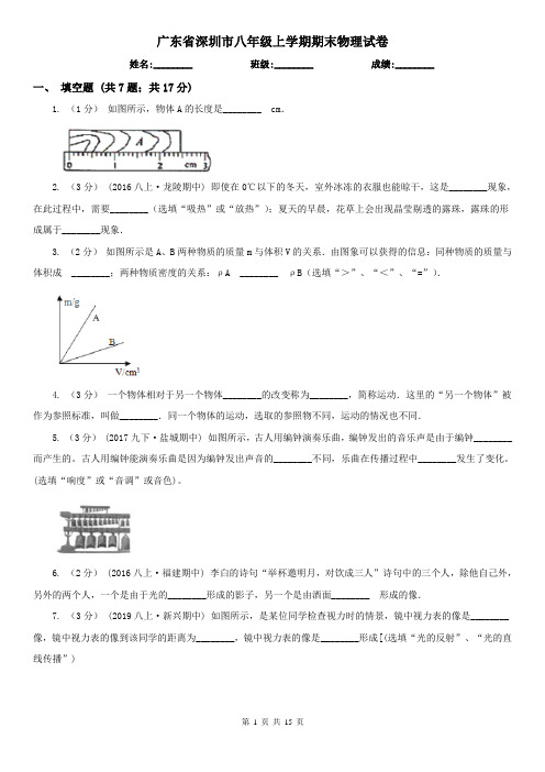 广东省深圳市八年级上学期期末物理试卷