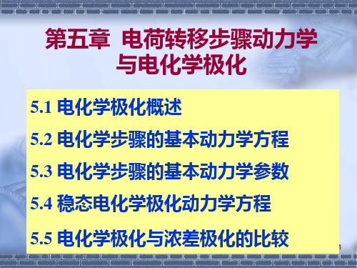 第五章电荷转移步骤动力学与电化学极化PPT课件