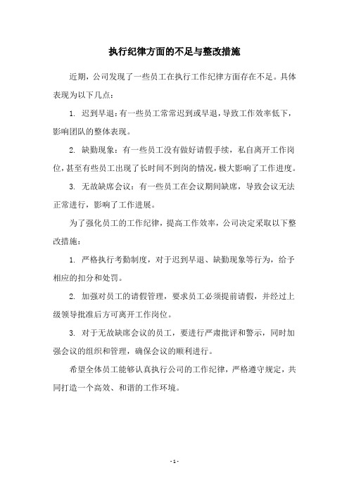 执行纪律方面的不足与整改措施