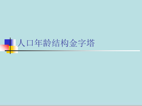 人口年龄结构金字塔