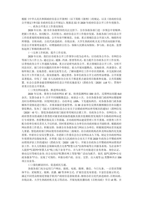 政府信息公开工作总结范文2020.docx