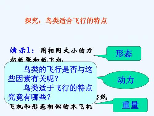 生物人教版八年级上册鸟为什么适于飞行