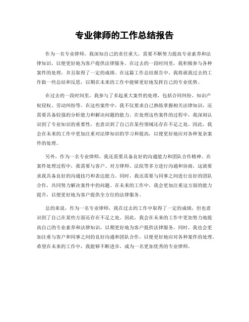 专业律师的工作总结报告