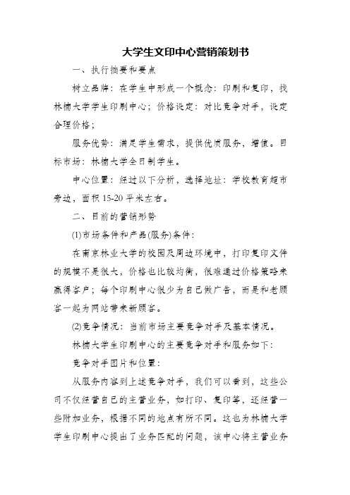 大学生文印中心营销策划书