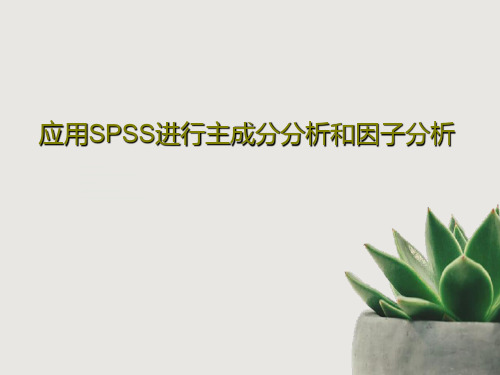 应用SPSS进行主成分分析和因子分析PPT共33页