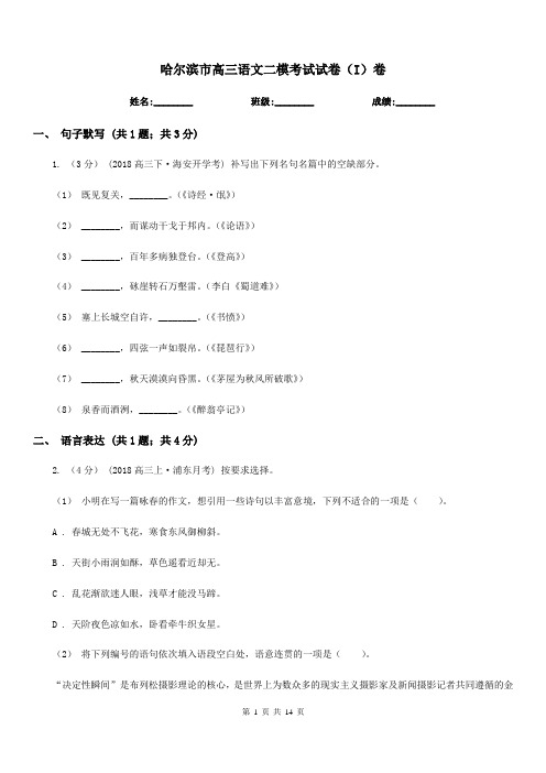 哈尔滨市高三语文二模考试试卷(I)卷