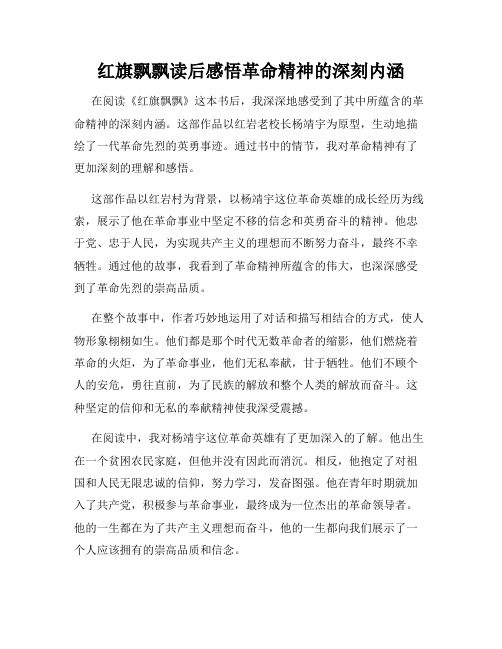 红旗飘飘读后感悟革命精神的深刻内涵