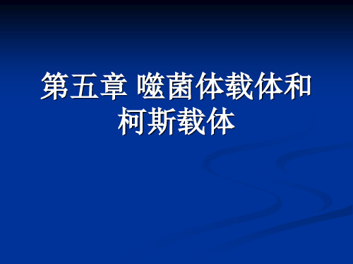 第五章 噬菌体载体和柯斯载体