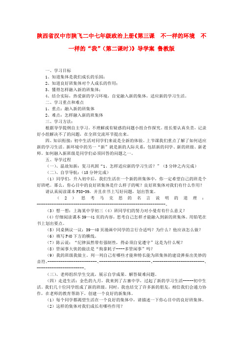 陕西省汉中市陕飞二中七年级政治上册《第三课  不一样的环境  不一样的“我”(第二课时)》导学案(无答案