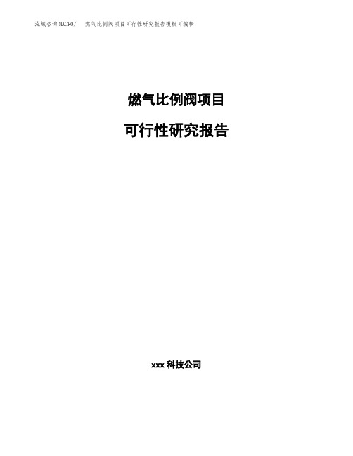 燃气比例阀项目可行性研究报告模板可编辑