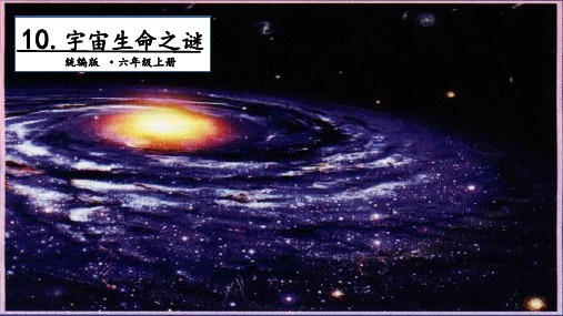 《宇宙生命之谜》_免费课件