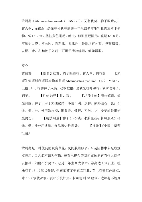 黄蜀葵的介绍
