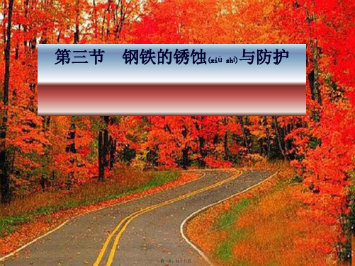 九年级化学全册 第九单元 第三节 钢铁的锈蚀与防护课件